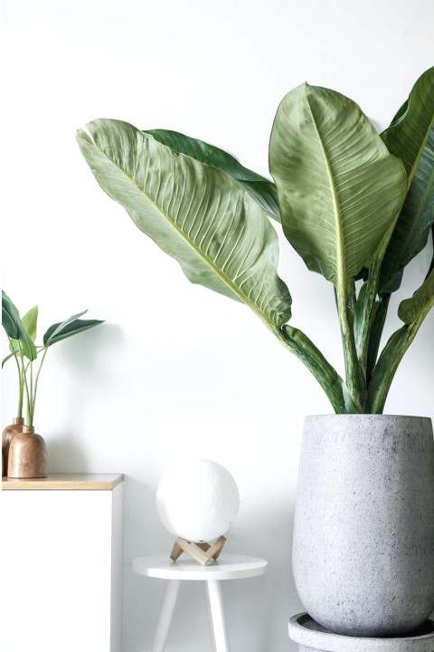 Werkstatt / Showroom